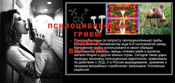 прущие крисы Медногорск