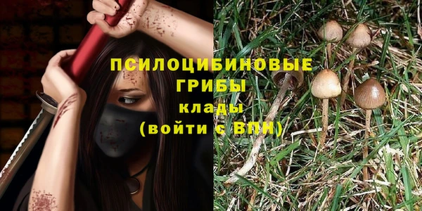 прущие крисы Медногорск