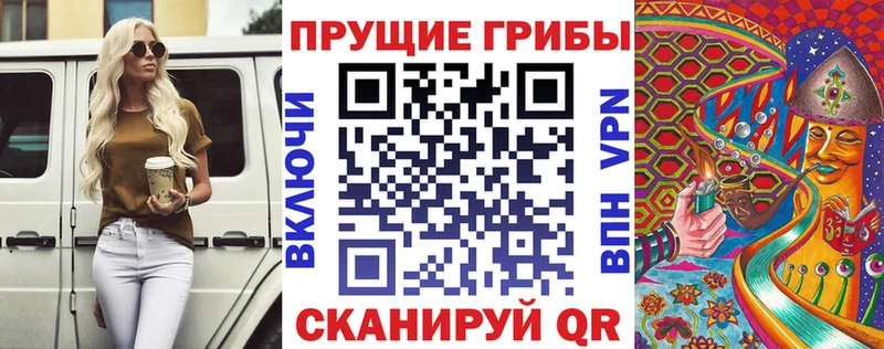 Псилоцибиновые грибы Psilocybe  omg рабочий сайт  Шелехов 